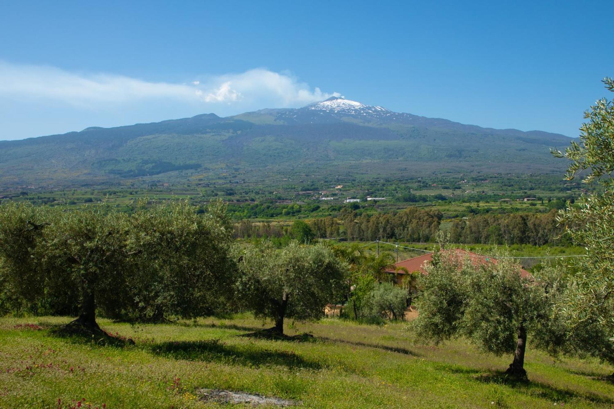 B&B Affittacamere Al Vulcanetto Moio Alcantara Eksteriør bilde